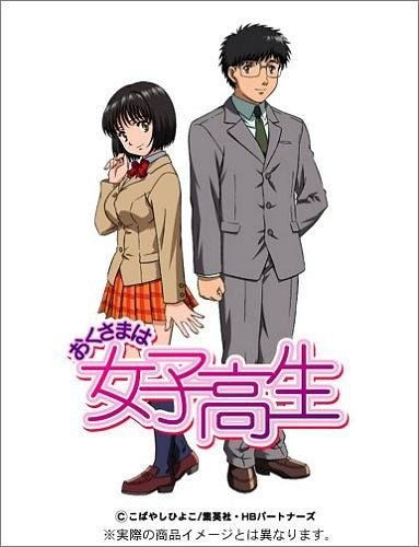 《我太太是高中生》全集高清在线免费观看_动漫_ (2005) 海报