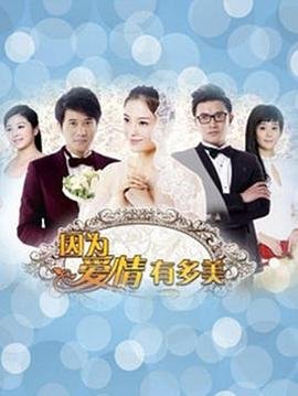 因为爱情有多美 (2013) 海报