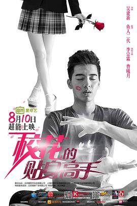 校花的贴身高手加长版在线播放 (2015) 海报