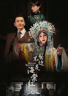 《《鬓边不是海棠红》电视剧国语高清免费完整版观看在线》2020 海报