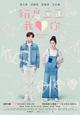 《《稍息立正我爱你》电视剧第01集高清云播全集高清免费》2017 海报