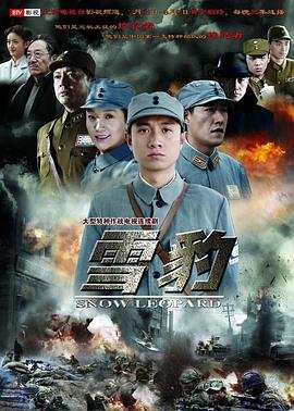 雪豹电视剧全集免费观看完整版 (2010) 海报