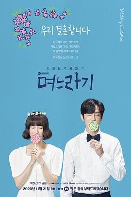 儿媳记 电视剧免费观看 (2020) 海报