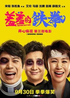 《羞羞的铁拳电影在线观看免费完整版国语》2017 海报