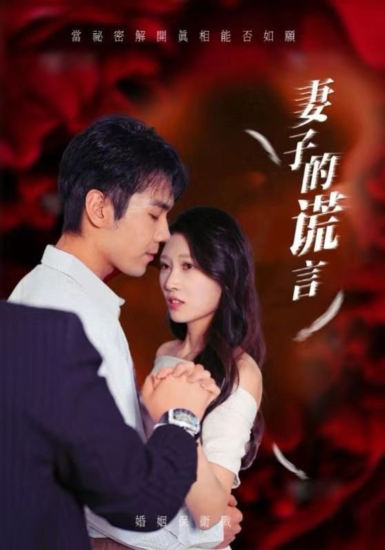 《妻子的谎言》 (2024) 海报