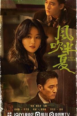 《风吹半夏》全集完整版免费在线观看 (2022) 海报