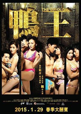 《鸭王1》电视剧粤语在线观看全集高清完整版国语中字 (2015) 海报