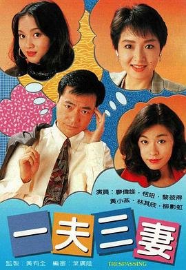 《一夫三妻免费观看电视剧高清完整版》1994 海报