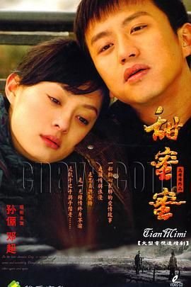 《甜蜜蜜》第01集免费在线观看 -全集电视剧 (2007) 海报