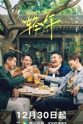 轻年电视剧在线观看全集免费 (2025) 海报