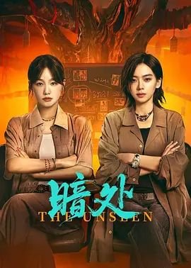 暗处电视剧 免费在线观看全集完整版 (2026) 海报