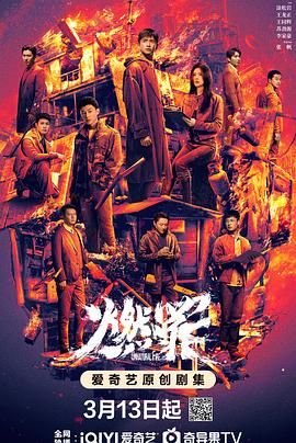 《燃罪》电视剧国语免费完整版高清在线观看 (2025) 海报