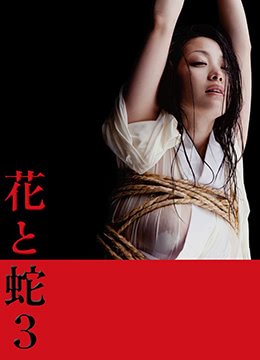 《《花与蛇3》手机-在线观看完整版免费播放》2010 海报